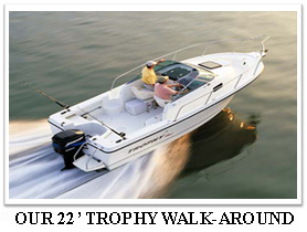 Whaler 11'