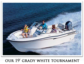 Grady White
